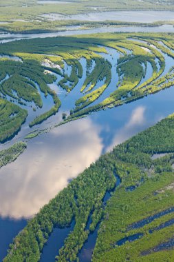 Orman nehir sel, top görüntülemek