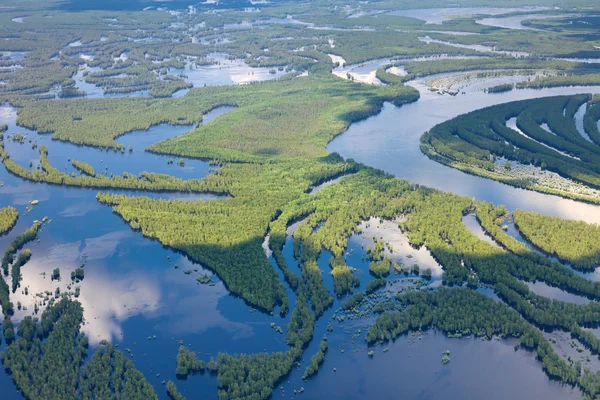 Forest river in overstromingen, boven bekijken — Stockfoto