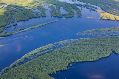 Orman nehir sel, top görüntülemek