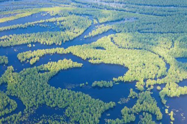Orman nehir sel, top görüntülemek