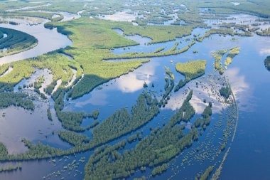Orman nehir sel, top görüntülemek