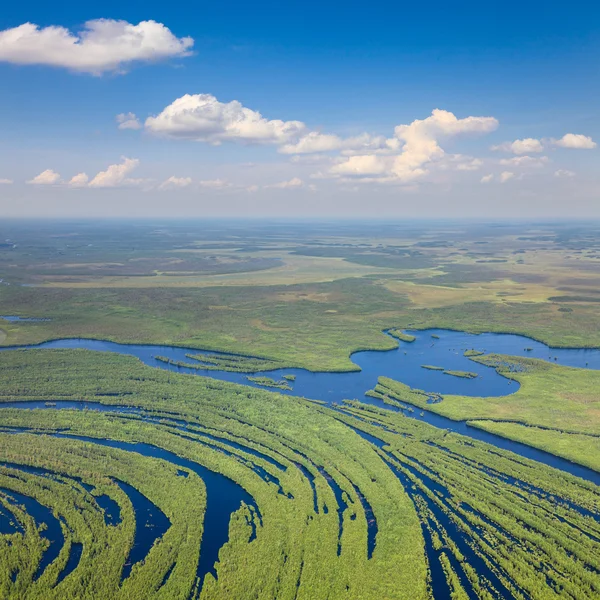 Forest river i översvämningar, top Visa — Stockfoto