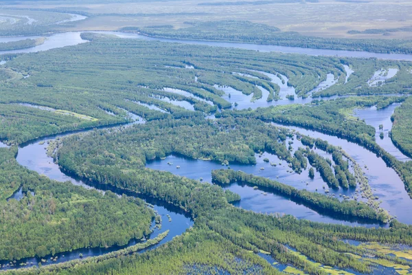 Forest river in overstromingen, boven bekijken — Stockfoto