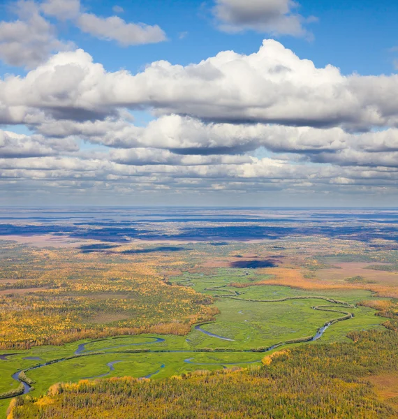 Vista superior del río del bosque en otoño —  Fotos de Stock