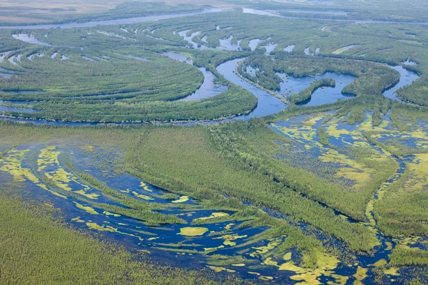 Forest river i översvämningar, top Visa — Stockfoto