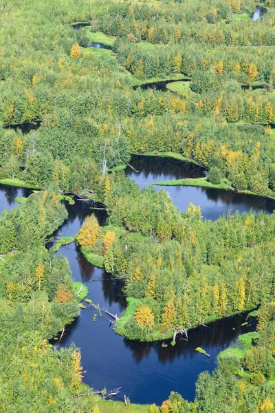 Backwoods, vy från ovan — Stockfoto