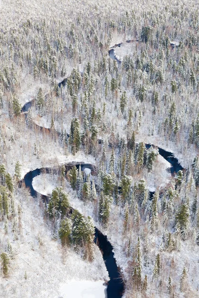 Forest river in winter, top view — Stock Photo, Image