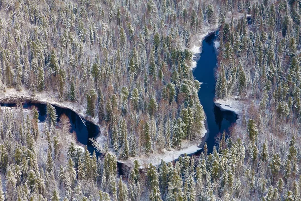 Rio da floresta no inverno, top vista — Fotografia de Stock