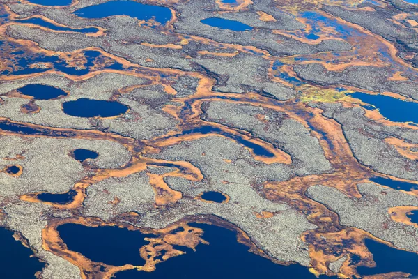 Flygfoton av arktisk tundra våtmarker — Stockfoto