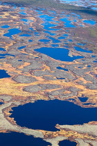 Flygfoton av arktisk tundra våtmarker — Stockfoto