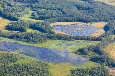 Bahar, üst görünümünde Orman Gölü