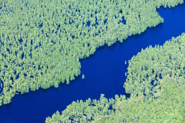 Río del bosque en primavera, alta vista — Foto de Stock