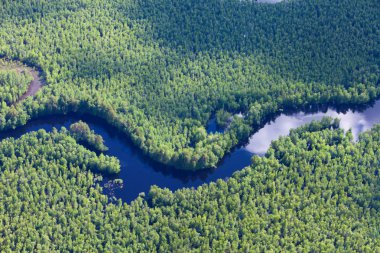 Orman nehir Bahar, en iyi görünümü