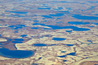 Tundra sonbahar, en iyi görünümü