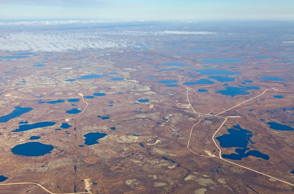 Tundra in autumn, top view — Stock Photo, Image