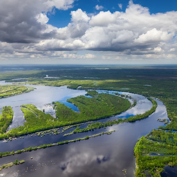 Rio de floresta vista aérea — Fotografia de Stock