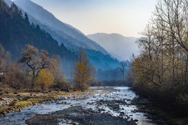 Yoğun ormanlar ve mavi gökyüzü ile kaplı sisli dağ vadisinden akan nehir şafak vakti Shergaon Arunachal Pradesh Hindistan 'da görüntülenir..