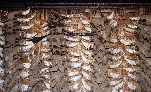 Sacrificado Animal Esqueleto Cabezas Auténtico Hogar Tribal Ángulo Plano Imagen — Foto de Stock