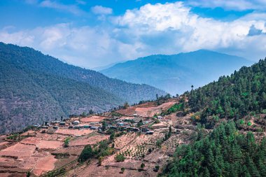 Sabahları çeltik tarlaları ve uzak köyü olan dağlar.