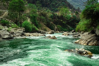 Dağ nehri aşırı su akıntısı gün içinde ormanlarda uzun süre çekim görüntüsü Dirang nehri Tawang Arunachal Pradesh Hindistan 'da çekilir..