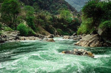 Dağ nehri aşırı su akıntısı gün içinde ormanlarda uzun süre çekim görüntüsü Dirang nehri Tawang Arunachal Pradesh Hindistan 'da çekilir..