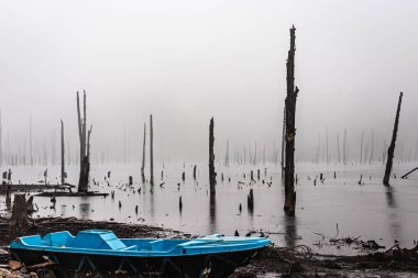 Puslu göl ve kuru ağaç gövdeleri Madhuri Gölü Tawang Arunachal Pradesh 'te çekilmiştir..