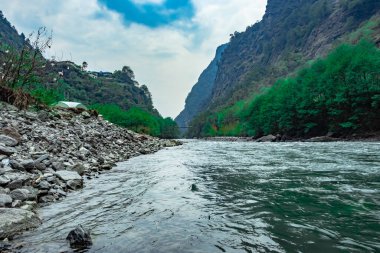 Dağ nehri vadide gündüz düz bir açıyla ormanla akıyor.