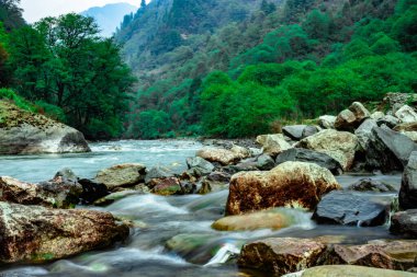 Dağ nehri vadide gündüz düz bir açıyla ormanla akıyor.