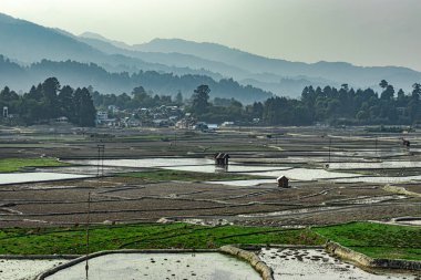 Kırsal kesim, pirinç tarlasını kirletiyor ve sabah görüntüsü Ziro Arunachal Pradesh Hindistan 'da çekiliyor..