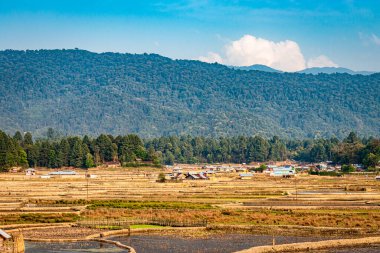 Kırsal kesim, pirinç tarlasını dağlık zemin ve mavi gökyüzü ile kirletiyor. Sabah görüntüsü Ziro Arunachal Pradesh Hindistan 'da çekiliyor..