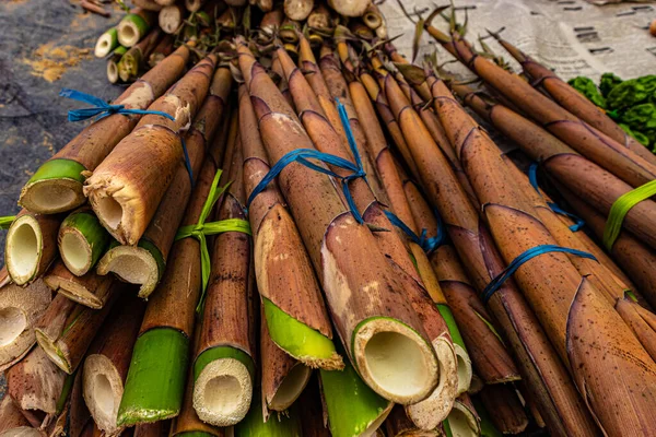 竹の木の丸薬一日に低角度から販売のための多くの食用棒 — ストック写真