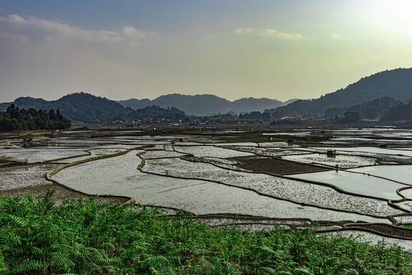 Затемнение Сельской Местности Обрамляя Рисовое Поле Утреннем Изображении Снято Зиро — стоковое фото
