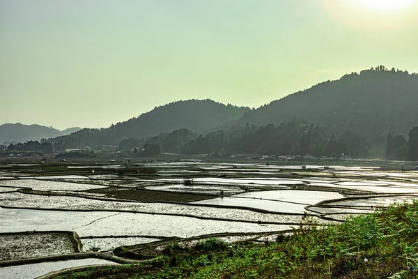 Сельской Местности Пятно Обрамления Рисового Поля Горным Фоном Утреннем Изображении — стоковое фото