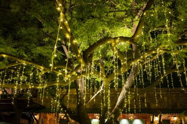 Sıcak Beyaz Peri Işıklı Şenlikli Gece Sahnesi