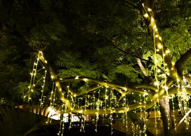 Illuminated Foliage Creating A Magical Evening Ambiance