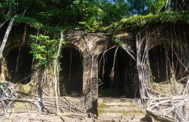Ross Adası 'ndaki İngiliz döneminin tarihi kalıntıları gün ışığıyla kaplandı.