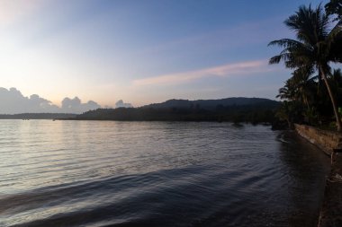 Alacakaranlıkta tropikal kıyı şeridi Palmiye ağaçları