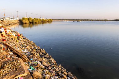 Göl kıyısındaki atıkların birikmesiyle betimlenen çevre sorunu