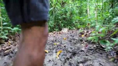 Tropikal yağmur ormanlarında yürüyüş yapan çamurlu orman patikası hareketli bulanık çekim