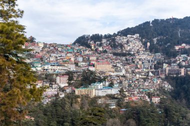 Orman yamaçlarına bakan yoğun bir yerleşim yeri.