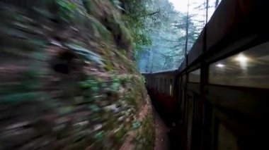 Servet yeşili orman videosundaki oyuncak tren yolculuğu Shimla Himachal Pradesh Hindistan 'da çekilir..