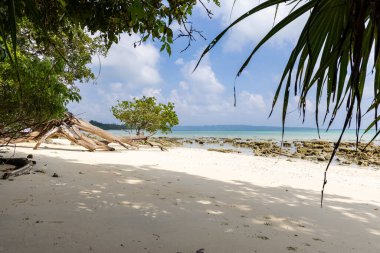 Tropikal kumlu sahil. Mavi gökyüzünün altında ağaç dalları ve turkuaz deniz var.