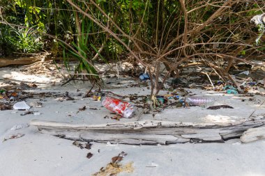 Plastik atıklar ve çöpler kumlu tropik sahil şeridine saçılmış.