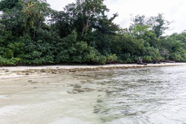 Kayalık sığ ve orman kenarlı el değmemiş tropikal sahil