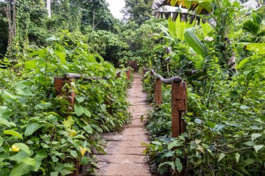 Ağaçtan korkulukları olan tropik orman geçidi