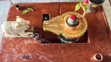 Hindu tapınağındaki Naga Yılanı ve Nandi İdolü 'nün Shivratri' ye taptığı kutsal Şiva Lingam.
