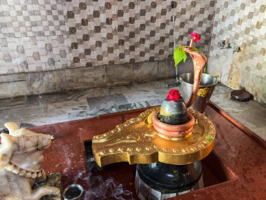 Tütsü dumanı ve Shivratri 'de sunulan kutsal bıçaklama adağı