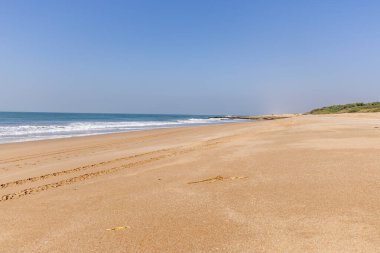 Sakin okyanus dalgaları kumlu kumsalda sabahları lastik izleri bırakıyor.
