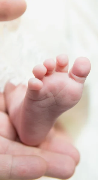 Petit pied de bébé — Photo