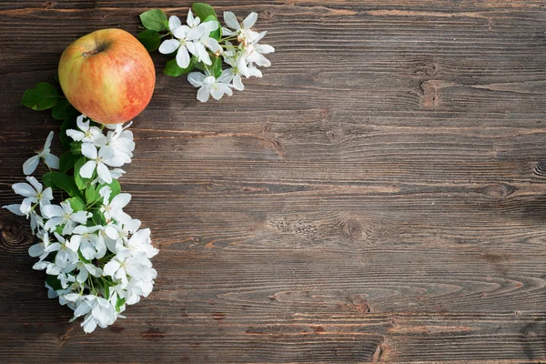 Apple and flowers on a blackboard — Stock Photo, Image